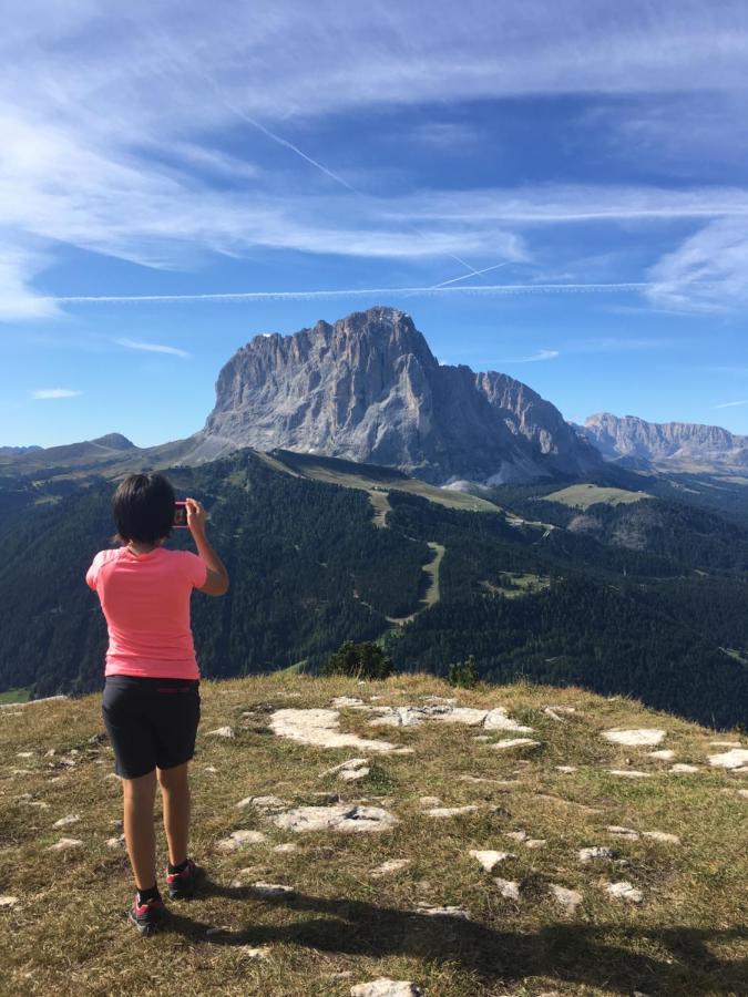 Arya Alpine